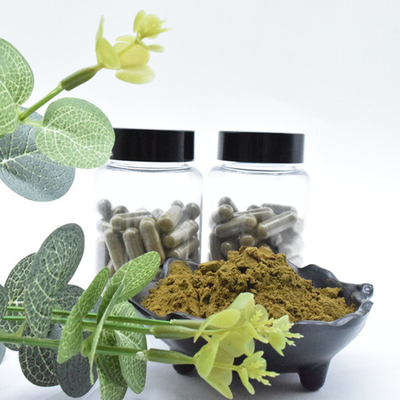 Bột chiết xuất Ajuga Turkestanica 2% Mua Turkesterone