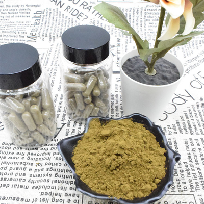 Bột chiết xuất Ajuga Turkestanica 2% 10% Chiết xuất Turkesterone