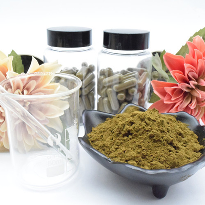 Bổ sung Pure Ajuga Turkestanica Extract Powder 40% Viên nang Turkesterone 500mg