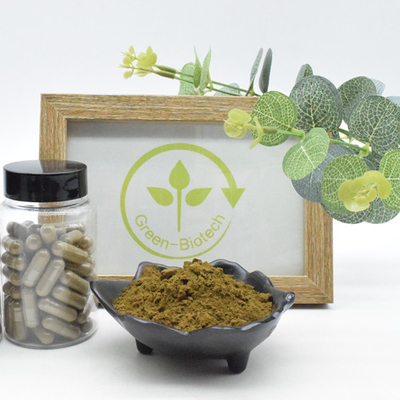 100% bột Turkesterone tự nhiên 2% 10% 40% chiết xuất Ajuga Turkestanica