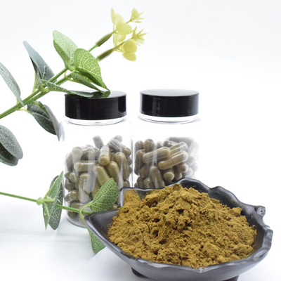 Bột Ajuga Turkesterone chất lượng hàng đầu 10 Chiết xuất Turkesterone Chiết xuất thực vật Turkesterone