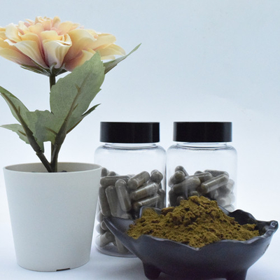 Chiết xuất ajuga turkestanica tinh khiết turkesterone 2% 10% 40% bột turkesterone