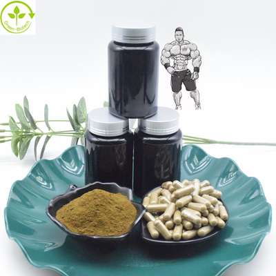 Bột chiết xuất Turkesterone nguyên chất 10% 40% 800mg Viên nang Turkesterone 1000mg