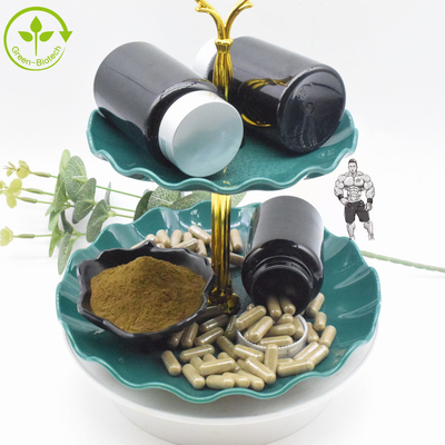 Thực phẩm bổ sung Ajuga Turkestanica Extract 10% 20% Turkesterone Powder