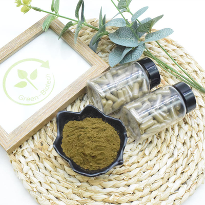 Thực phẩm bổ sung Ajuga Turkestanica Extract 10% 20% Turkesterone Powder