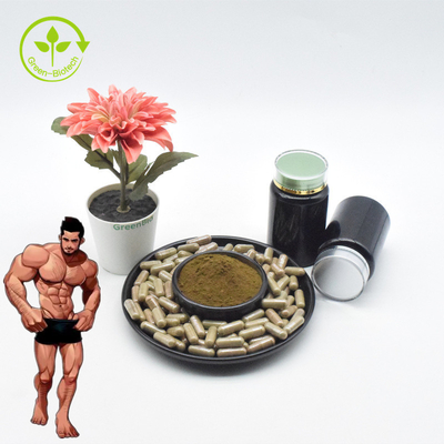 Bột Ajuga Turkesterone chất lượng hàng đầu 10 Chiết xuất Turkesterone Turkesterone
