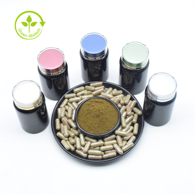 Chiết xuất thảo dược Chiết xuất Turkesterone 10% Bột Turkesterone để bổ sung