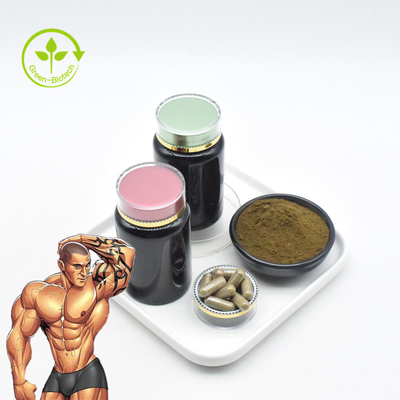 100% tự nhiên Ajuga Turkestanica Chiết xuất Turkesterone 10% Viên nang Bột Turkesterone nguyên chất