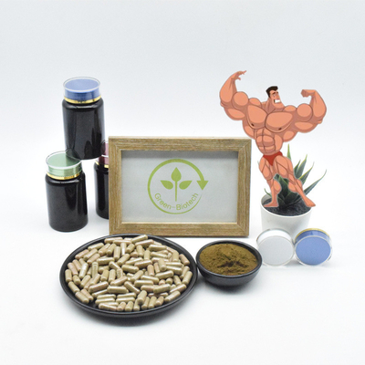100% tự nhiên Ajuga Turkestanica Chiết xuất Turkesterone 10% Viên nang Bột Turkesterone nguyên chất
