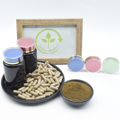 Nhà máy cung cấp bột chiết xuất Ajuga Turkestanica chất lượng cao 2% 4% 10% Turkesterone để bán