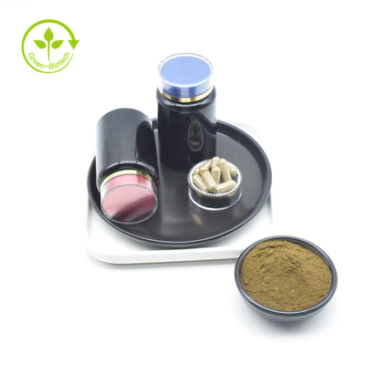 Chiết xuất Ajuga Turkestanica cấp ISO 20% Giá bột Turkesterone