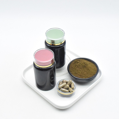 Bổ sung Pure Ajuga Turkestanica Extract Bulk 2% 10% Turkesterone Powder