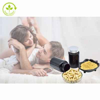 Chiết xuất thực vật Tongkat Ali Viên nang 500mg/60 viên/Chai Bột Eurycomanone 1% 3% 5% 10% Chiết xuất Tongkat Ali