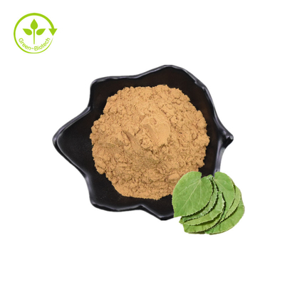 Bột Icariin Bán buôn Bổ sung chăm sóc sức khỏe số lượng lớn Chiết xuất Epimedium 10% -98% Icariin