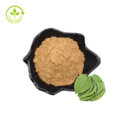 Bột Icariin Bán buôn Bổ sung chăm sóc sức khỏe số lượng lớn Chiết xuất Epimedium 10% -98% Icariin