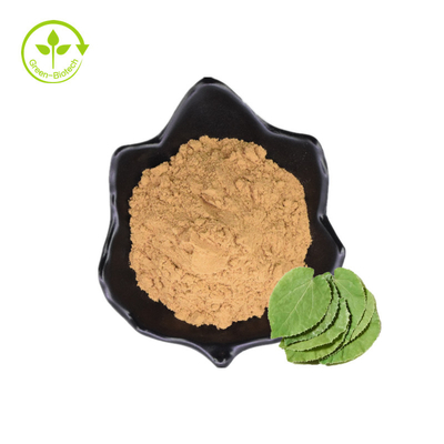 Chất lượng hàng đầu Horny Goat Weed Extract Powder Epimedium Grandiflorum Extract