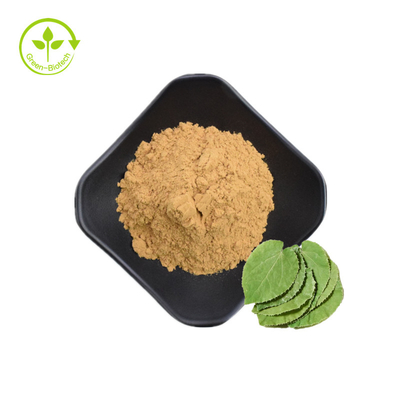 Nhà cung cấp Trung Quốc Chiết xuất sừng dê Epimedium 5% Icariin với mẫu miễn phí