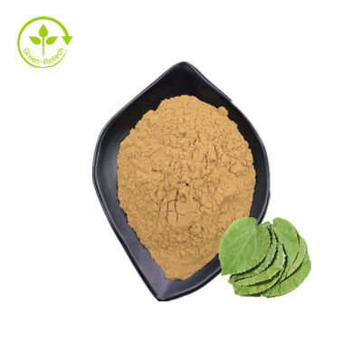 Nhà máy cung cấp chiết xuất Epimedium chất lượng cao Chiết xuất cỏ dại sừng dê Chiết xuất Epimedium Mẫu miễn phí với giá tốt nhất