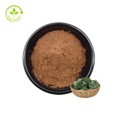 Sử dụng chiết xuất Epimedium cho nam giới Chăm sóc sức khỏe Bột chiết xuất Epimedium Icariin 10-1