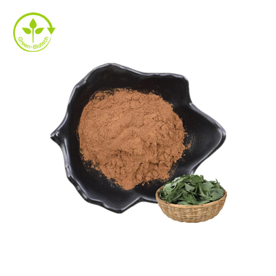 Chiết xuất thực vật bán chạy nhất Epimedium P.E. Bột Lcariin 20% với HPLC