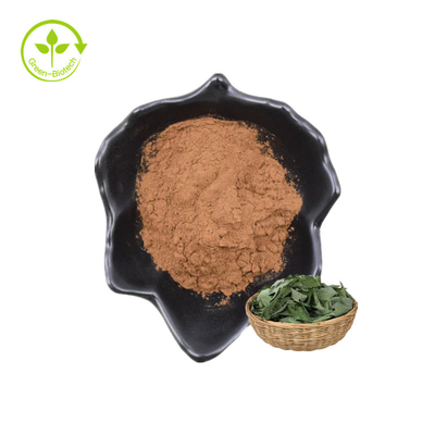 Chiết xuất thực vật bán chạy nhất Epimedium P.E. Bột Lcariin 20% với HPLC