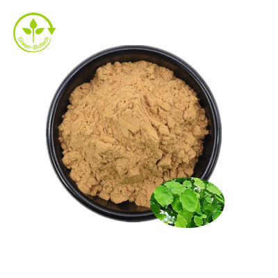 Horny Goat Weed Extract Powder Feed Lớp Epimedium Blend Extract