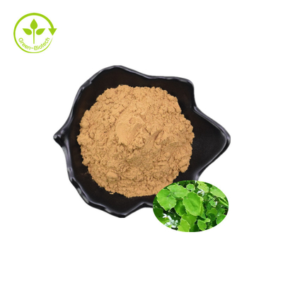Bán buôn chiết xuất thực vật Horny Goat Weed Extract Powder Icariin Epimedium Extract