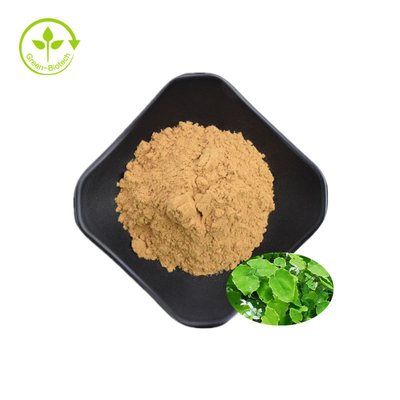 Chiết xuất Icariin chất lượng cao 50% 60% 80% 98% Epimedium