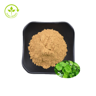 Chiết xuất Icariin chất lượng cao 50% 60% 80% 98% Epimedium