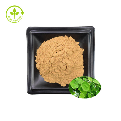 Chiết xuất Epimedium 98% Icaritin Mật ong Dê Weed Chiết xuất 98% Icaritin