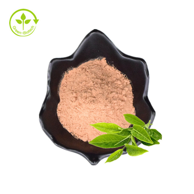 Giá xuất xưởng Giá bán buôn Chăm sóc sức khỏe Bổ sung chiết xuất lá trà xanh Polyphenol bột