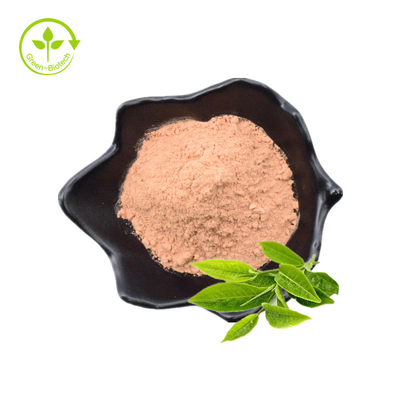Giá xuất xưởng Giá bán buôn Chăm sóc sức khỏe Bổ sung chiết xuất lá trà xanh Polyphenol bột