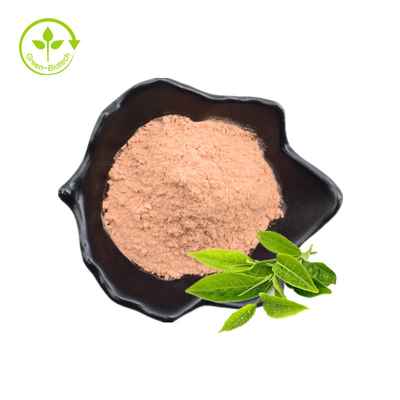 Trà Polyphenol, EGCG, bột chiết xuất trà xanh