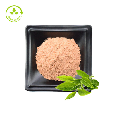 Chiết xuất trà xanh 100% tự nhiên 98% bột EGCG với các mẫu miễn phí