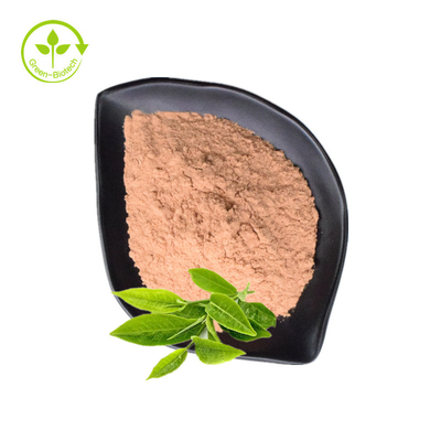 Bột chiết xuất trà xanh hữu cơ nguyên chất 98% Tea Polyphenol EGCG