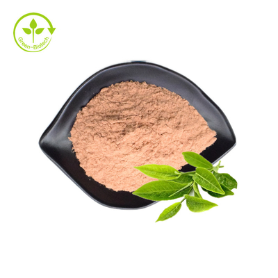Bột chiết xuất trà xanh hữu cơ nguyên chất 98% Tea Polyphenol EGCG