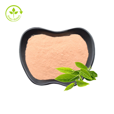 Chiết xuất trà xanh 20% 30% bột L-Theanine tự nhiên