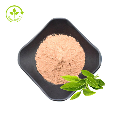 Chiết xuất trà xanh 20% 30% bột L-Theanine tự nhiên