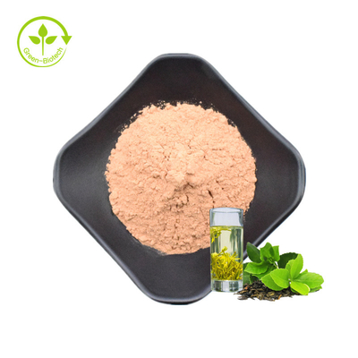Bột chiết xuất trà xanh / Polyphenol EGCG Catechins