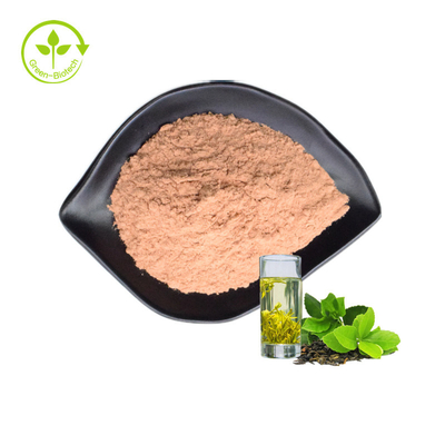 Nhà máy cung cấp chiết xuất trà xanh 80% bột chiết xuất trà xanh catechin Chiết xuất trà xanh