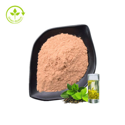 Bột chiết xuất Polyphenol trà xanh có tác dụng chống oxy hóa