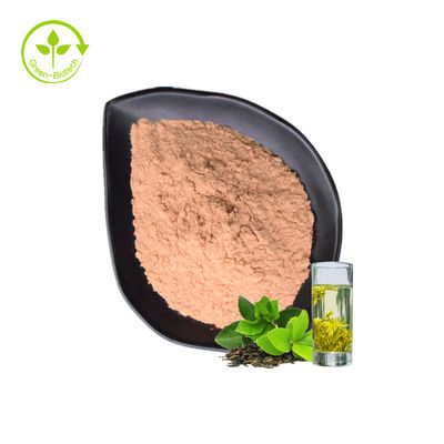Bột chiết xuất Polyphenol trà xanh có tác dụng chống oxy hóa