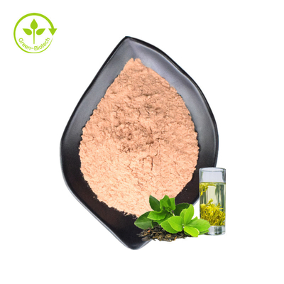 Giúp giảm cân Cấp thực phẩm hòa tan Bột chiết xuất trà xanh tức thì Trung Quốc Bột trà xanh tự nhiên