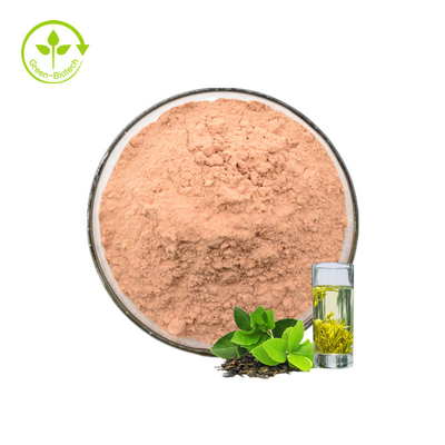 Tea Polyphenol Các nhà sản xuất cung cấp Bán chạy Chiết xuất trà xanh Bột Polyphenol 90% Tea Polyphenol
