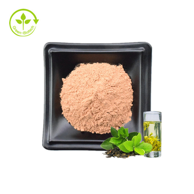 Bột chiết xuất trà xanh Polyphenol tức thì hữu cơ 100% chất lượng cao