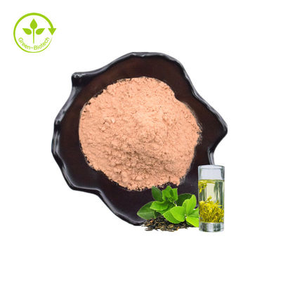 Nhà máy Bán buôn Lá thực vật Khỏe mạnh 60% Lá trà xanh tự nhiên chất lượng cao Chiết xuất bột tức thì