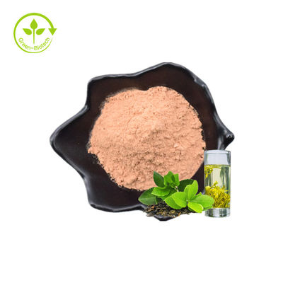 Nhà máy Bán buôn Lá thực vật Khỏe mạnh 60% Lá trà xanh tự nhiên chất lượng cao Chiết xuất bột tức thì