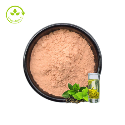Mẫu miễn phí ISO Bột trà xanh hòa tan 20% Polyphenol Thực phẩm tốt cho sức khỏe Chiết xuất trà xanh hữu cơ hòa tan trong nước