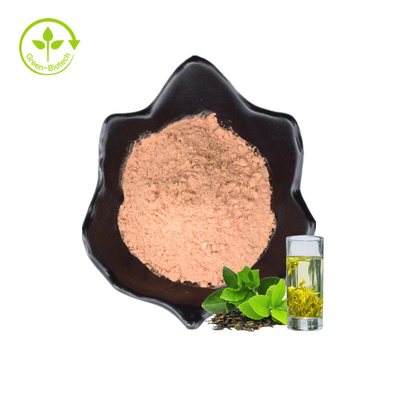 Mẫu miễn phí ISO Bột trà xanh hòa tan 20% Polyphenol Thực phẩm tốt cho sức khỏe Chiết xuất trà xanh hữu cơ hòa tan trong nước