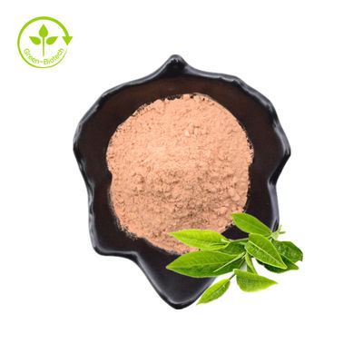 Giảm mỡ máu Chiết xuất trà xanh 40% bột trà Polyphenol